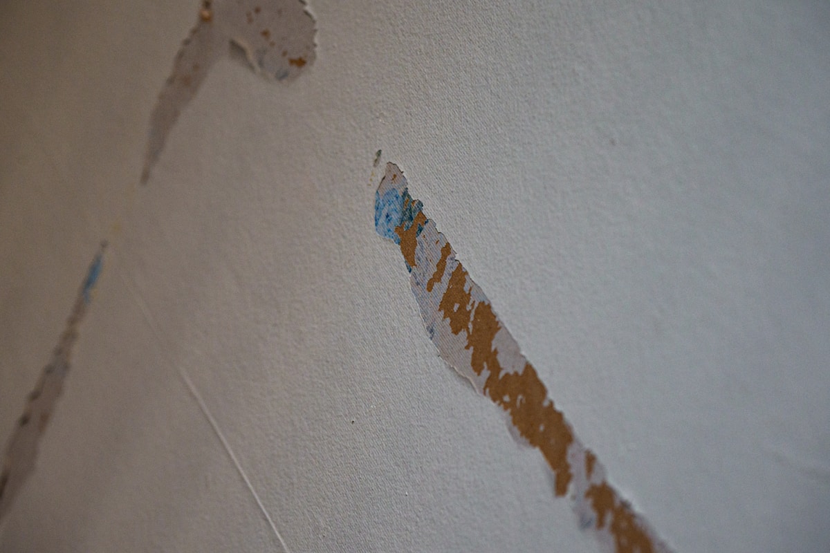 Flood Cleanup service in Rochester, MN